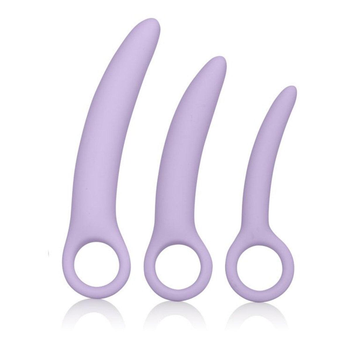 Alena: Set of 3 Silicone Dilators - Passionfruit